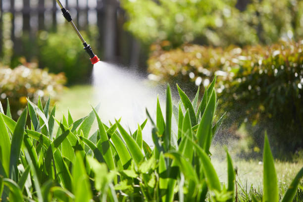 24/7 Emergency Mosquito Control experts in Badger, AK